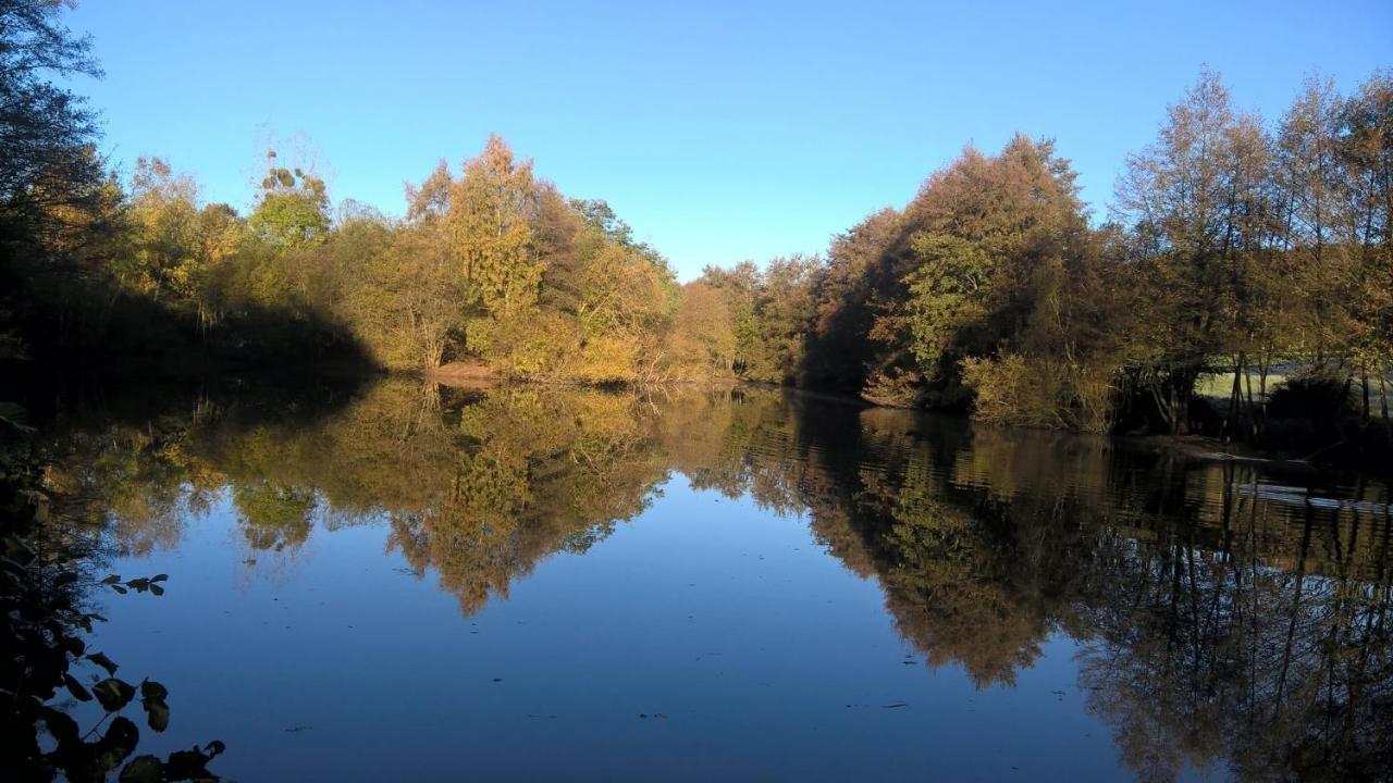 Gite Des Etangs De Beaulieu Le Plessis-Dorin Екстериор снимка